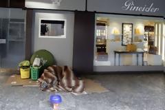 Οι αυτοκτονίες των πολιτών βαραίνουν τη συνείδηση του Μόντι, λέει ο Ντι Πιέτρο