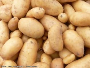 Φωτογραφία για Ανάρπαστες οι πατάτες Νευροκοπίου στα Χανιά