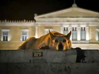 Φωτογραφία για Ο Λουκάνικος ξαναχτυπά