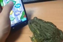 Αυτά παθαίνει όποιος κοροϊδεύει τα ζωάκια! [video]