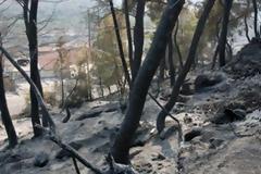 Αναστολή πληρωμής δύο δόσεων για δάνεια πυρόπληκτων