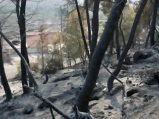 Φωτογραφία για Αναστολή πληρωμής δύο δόσεων για δάνεια πυρόπληκτων