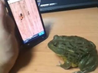 Φωτογραφία για VIDEO: Δείτε τι έγινε όταν ο βάτραχος συνάντησε την τεχνολογία!