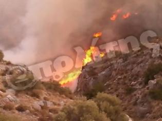 Φωτογραφία για Πυρκαγιά σε εξέλιξη στη Βόρεια Χίο