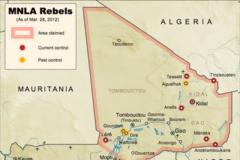 WASHINGTON'S POLITICAL DESTABILIZATION AGENDA IN AFRICA: Separatist War Looms in Post-coup Mali