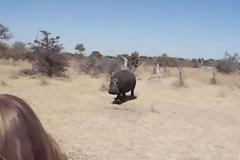 Ιπποπόταμος vs Jeep [Video]