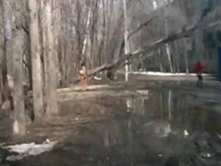 Φωτογραφία για VIDEO: Διερχόμενη γλιτώνει τελευταία στιγμή από δέντρο που πέφτει!