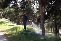 Λαμία: Έριξαν φωτοβολίδα σε άλσος!