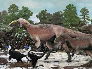 Φωτογραφία για Ανακαλύφθηκε ο μεγαλύτερος φτερωτός δεινόσαυρος που υπήρξε ποτέ