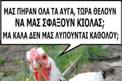 To παράπονο μιας κότας