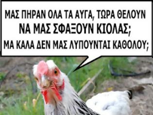 Φωτογραφία για To παράπονο μιας κότας