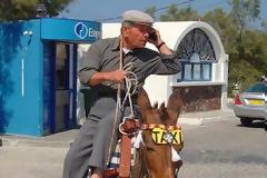 Ελλήνων αγκάθινο στεφάνι