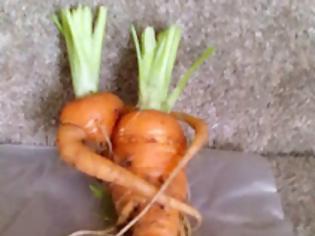 Φωτογραφία για ΤWITTER: Πανικός με τα καρότα που… αγκαλιάζονται!