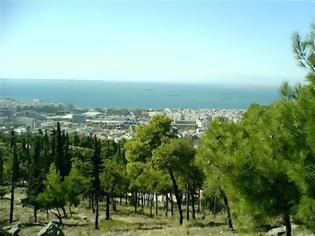 Φωτογραφία για Οι φύλακες - άγγελοι του Σέιχ Σου