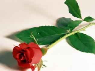 Φωτογραφία για Πάτρα: Έφυγε η Iωάννα Μοσχόβου