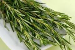 ΥΓΕΙΑ: Το δεντρολίβανο ενισχύει τη μνήμη
