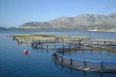 Στην Πιερία ιδρύεται η πρώτη περιοχή Οργανωμένης Ανάπτυξης Υδατοκαλλιεργειών
