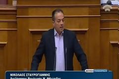 Ν. Σταυρογιάννης: 