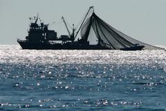 Διαμαρτύρονται για την χρησιμοποίηση μηχανότρατας οι ψαράδες της Βόνιτσας