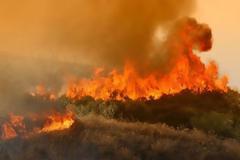ΤΩΡΑ - Πυρκαγιά στη περιοχή του Κοκκίνη