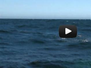 Φωτογραφία για VIDEO: Φάλαινα εκτόξευσε ουράνιο τόξο !