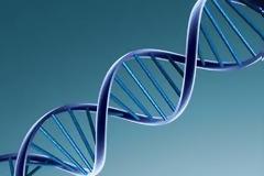 60 χρόνια DNA