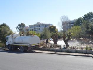Φωτογραφία για Πάτρα: Xώρος πρασίνου και περιπάτου γίνεται η Ρομάντζα - Ο Δήμος καθάρισε τον χώρο - Δείτε φωτο