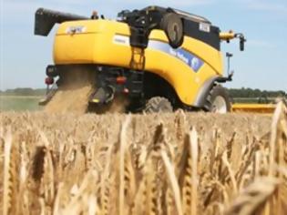 Φωτογραφία για Αύξηση στην παγκόσμια παραγωγή σιτηρών βλέπει το IGC