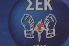 ΣΕΚ: Μακριά από γραφειοκρατία η επανεκκίνηση της οικονομίας