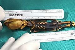 Λύθηκε με τεστ DNA το μυστήριο του εξωγήινου της Atacama