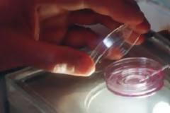 Συλλήψεις γιατρών που εισήγαγαν μη εγκεκριμένα φάρμακα για εξωσωματική