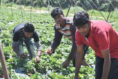 «ΟΛΗ Η ΕΛΛΑΔΑ, ΜΙΑ ΜΑΝΩΛΑΔΑ»