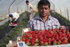 Αλλο θύτης, άλλο θύμα...