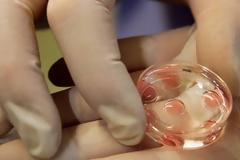 Πως εκμεταλλεύονταν τις αλλοδαπές -Ταρίφα 1.000 ευρώ για τα ωάρια