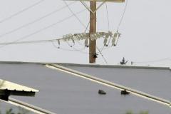 Μακρύς ο δρόμος της αποκατάστασης για το 18χρονο Δημήτρη