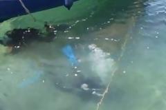 Απίστευτο το τι μπορεί να βρεθεί στο βυθό ενός λιμανιού!