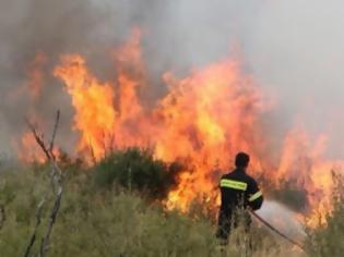 Φωτογραφία για Μεγάλη φωτιά στην Ευρυτανία - Κινδυνεύει χωριό