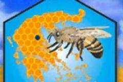 Greenpeace και Ομοσπονδία Μελισσοκομικών Συλλόγων Ελλάδας