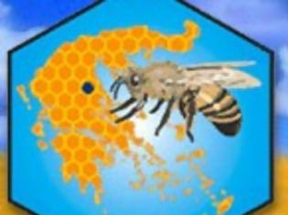 Φωτογραφία για Greenpeace και Ομοσπονδία Μελισσοκομικών Συλλόγων Ελλάδας