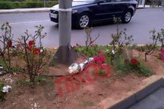 Ποια ήταν η άτυχη τροχονόμος που παρασύρθηκε από διερχόμενη οδηγό