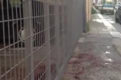 Πάτρα: H χαροκαμένη μάνα του Φράγκου ζητά να βρεθούν οι δολοφόνοι του παιδιού της - Aναμένεται νέα αποφυλάκιση εμπλεκόμενου στα κυκλώματα της νύχτας