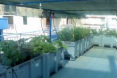 Ὅσο εἶναι καιρός