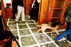 Απίστευτο αλλά αληθινό: Σκύλος καθυστέρησε την έναρξη του Υπουργικού!