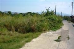 Πάτρα: Kόψτε τα ξερά σας χόρτα γιατί αλλιώς o Δήμος θα σας κάνει μήνυση