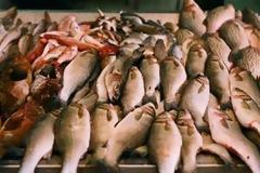 Πάτρα: 105 κιλά ψάρια κατασχέθηκαν στην Ιχθυόσκαλα