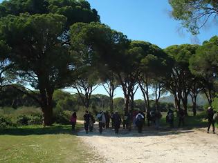 Φωτογραφία για Παρακολούθηση εκπαιδευτικού σεμιναρίου από το προσωπικό του Φορέα Διαχείρισης Εθνικού Δρυμού Παρνασσού