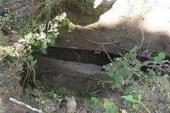 Επιχείρηση της ΕΜΑΚ Λαμίας για τον απεγκλωβισμό προβάτων από φρεάτιο!