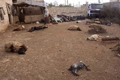 «Κόκκινη γραμμή»: 6+2 οπλοστάσια χημικού ολέθρου