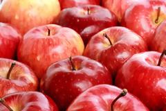 Τροφές για... δροσερή αναπνοή