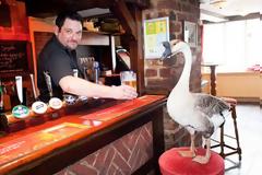 Ο πιο παράξενος θαμώνας μπαρ!